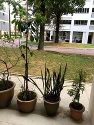 Blk 843 Woodlands Street 82 (Woodlands), HDB 4 Rooms #626545971
